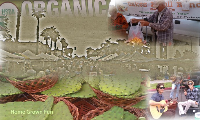 FM Farmers Market Images from Home Grown Fun