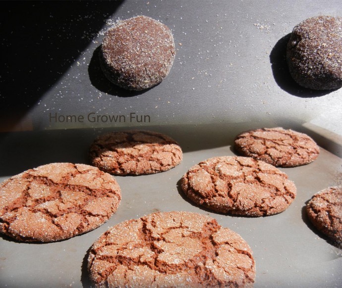 Ginger cookie recipe for kids soft and hard