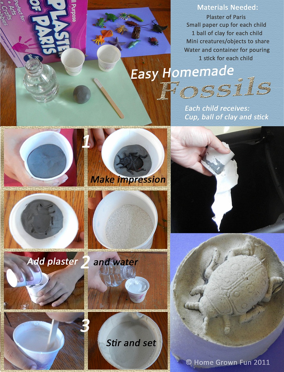 Make Fossils in the Classroom