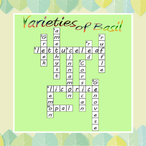 basil-crossword-answers