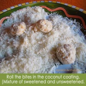 healthy coconut macaroons