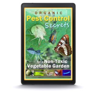 organic pest control methods