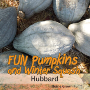 Best pumpkin pie pumpkins and squash