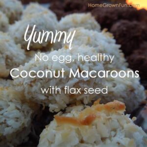 no egg coconut macaroons