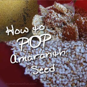 HOW TO POP AMARANTH