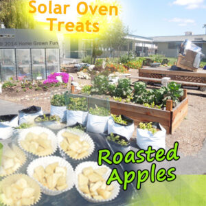 bake apples solar oven 