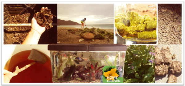 Best natural fertilizers to improve soil