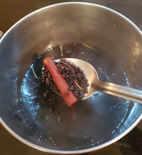 Elderberry Syrup Recipe