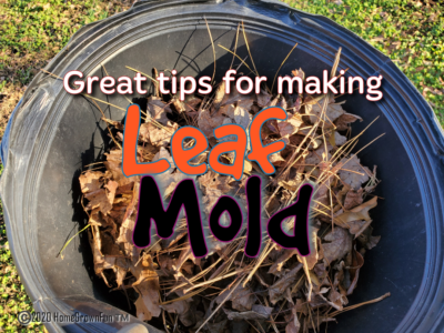 5 Tips to make leaf mold fast