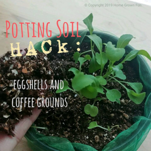 Coffee grounds in the garden