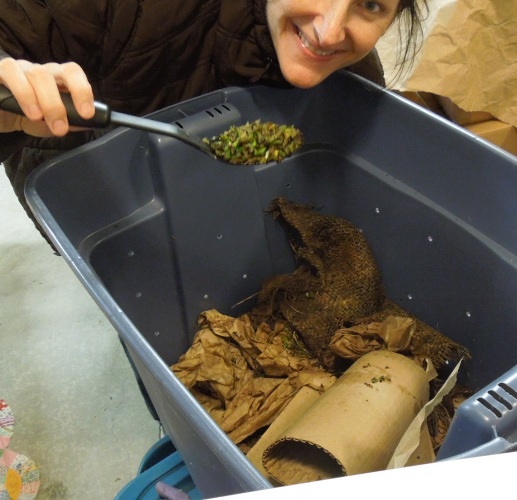 how to harvest worm castings quickly