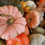 Porcelain Doll Pink Pumpkin