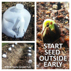 Start Seed Early OUTSIDE