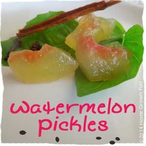 recipe watermelon pickles food