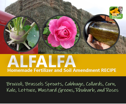 Alfalfa fertilizer for roses and vegetables