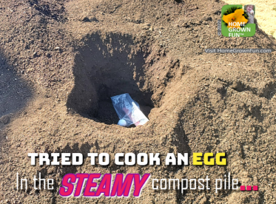 Compost is so hot you can cook an egg in it