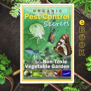 Organic Pest Control for a Non-Toxic Vegetable Garden