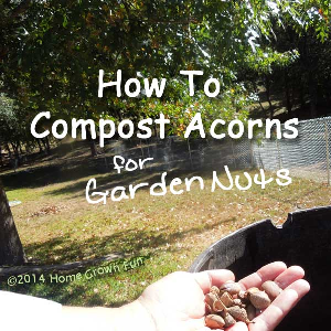 How to Compost Nuts
