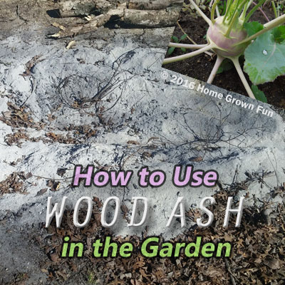 how much wood ash in raised bed?
