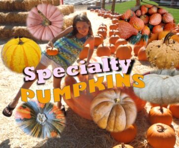 Names of special pumpkins